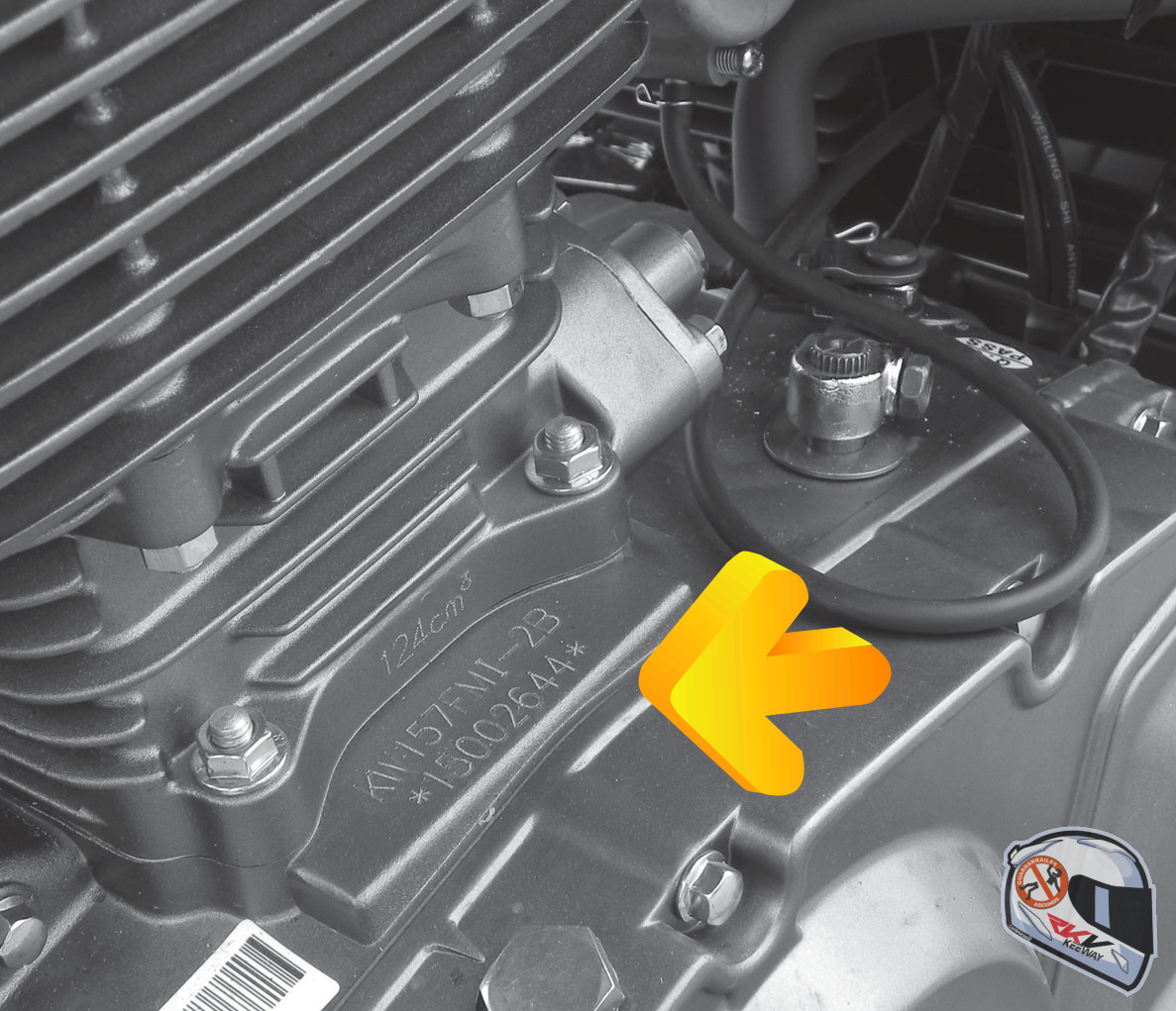 Curso Básico de Motos