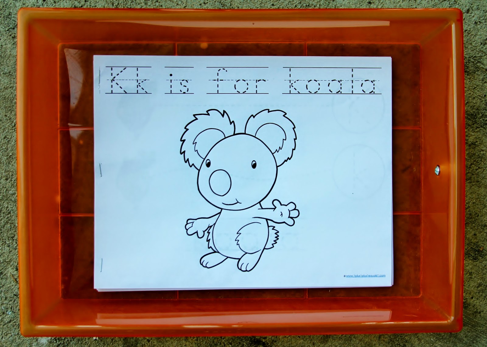 The Fantastic Five: Animal ABCs: Letter K