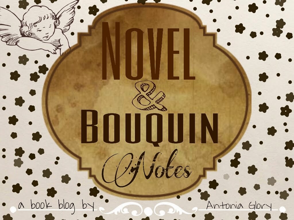 Novel&Bouquin Notes