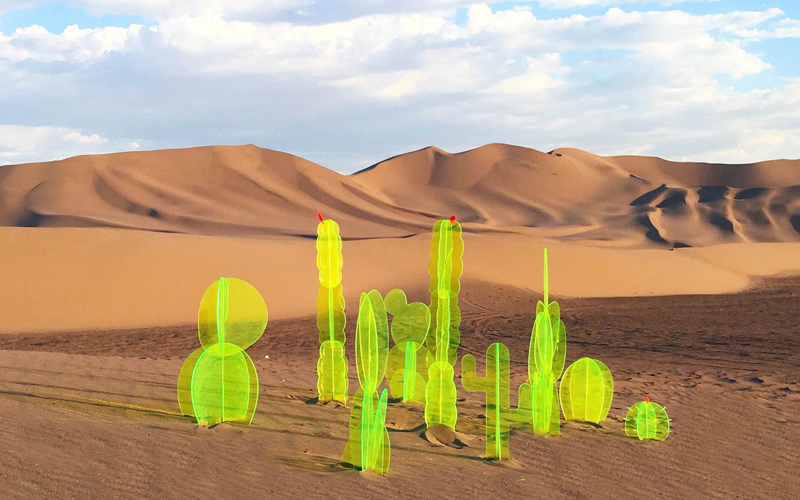 砂漠の中に生えた不思議な蛍光サボテンの正体は A ミライノシテン