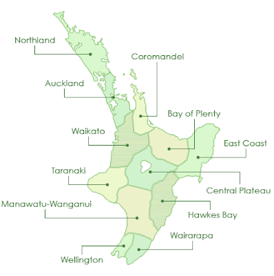 Political Map of North Island New Zealand