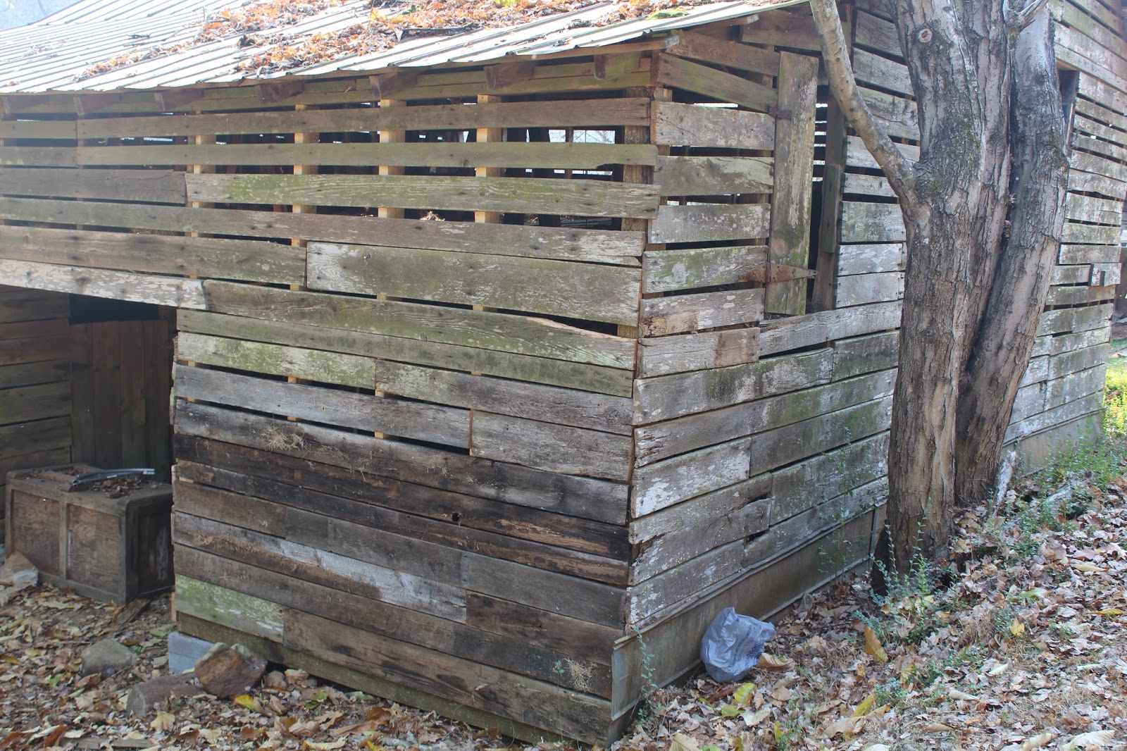 Sweet Summer Farm Fixing up our old barn
