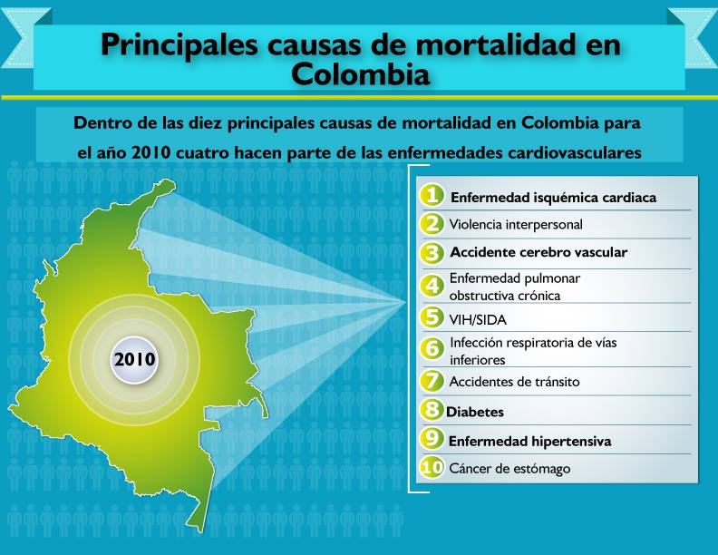 Sistema vascular sanguíneo de ranas