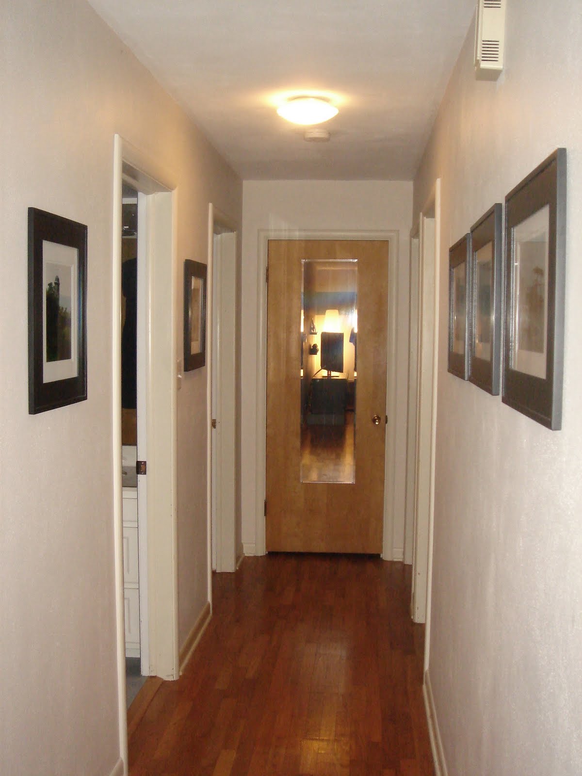 Ashley's Modern Ideas Hallway Photo Gallery