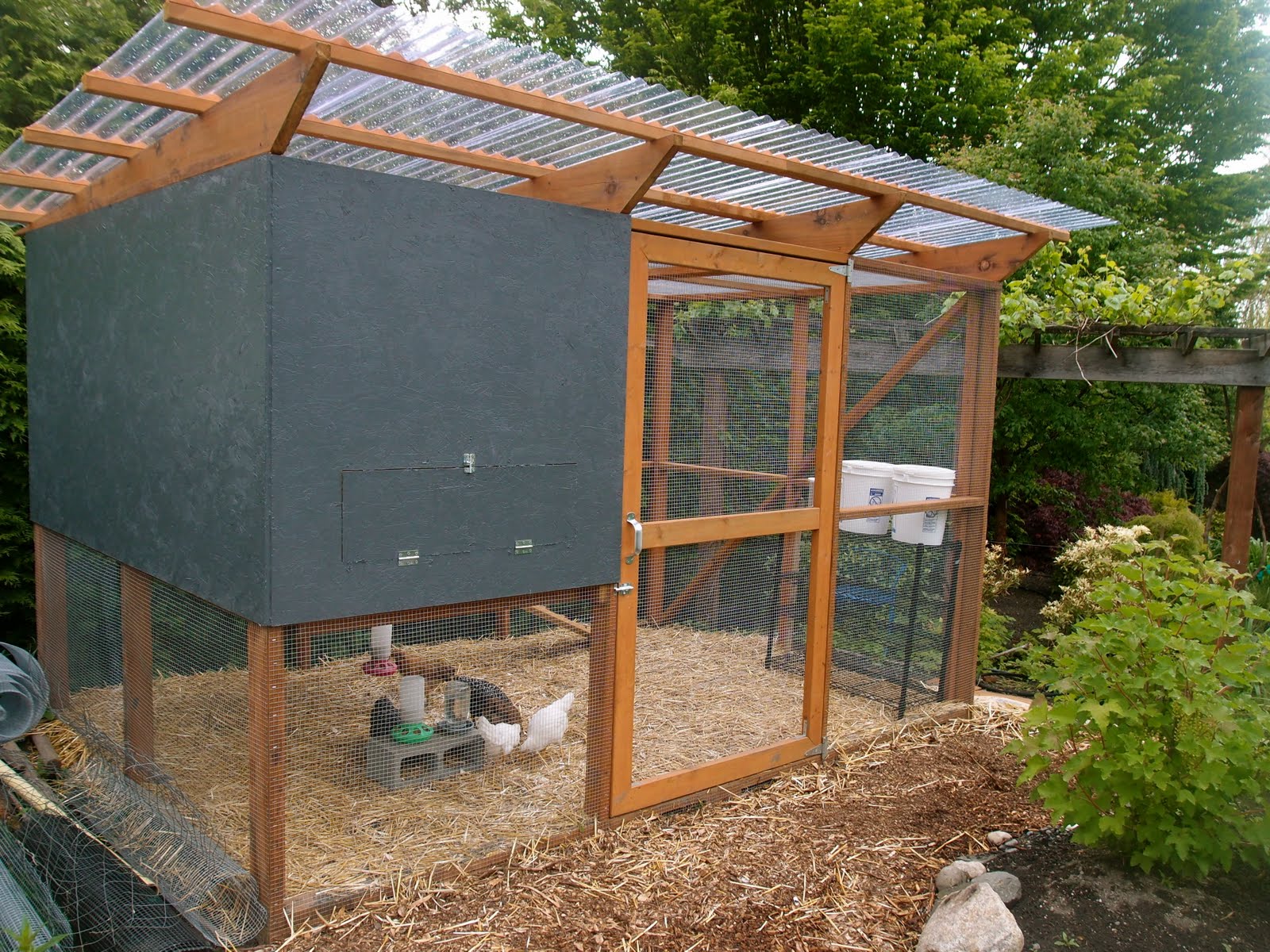 ; you can see we have not yet painted the interior OSB of the coop ...