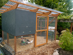 chicken coop roof build plans diy coops building slanted run cloth hardware designs chickens simple easy things runs corrugated done