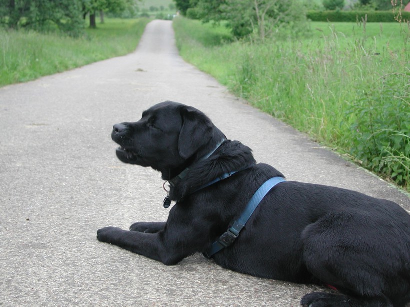 Tierisches Gewusel 06/01/2013 07/01/2013