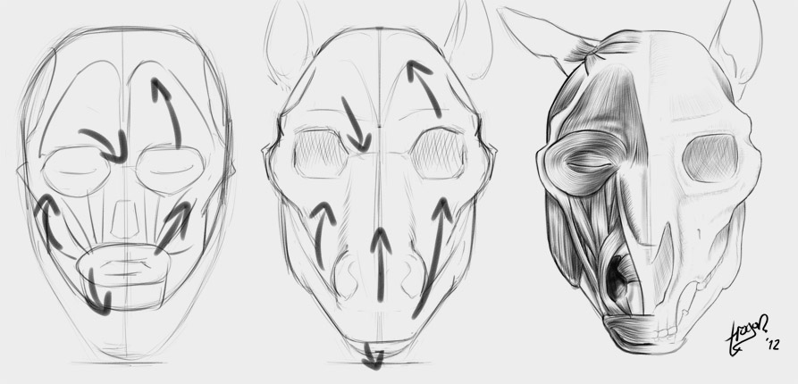 Anthro Anatomica: November 2012