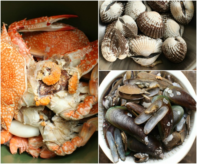 Resepi Shell Out Sedap