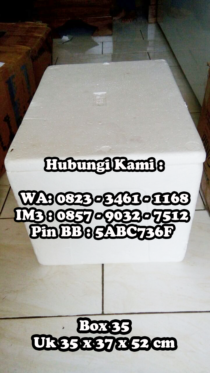 Thermafreeze Indonesia Thermafreeze Thermafreeze Pengganti Dry es