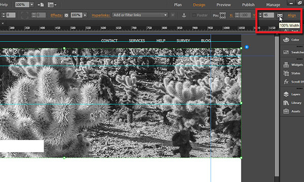 Cheapest Adobe Muse CC