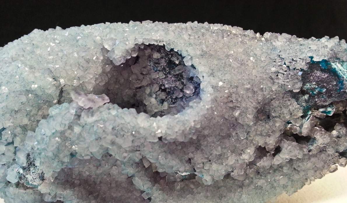 crystallized coyote skull