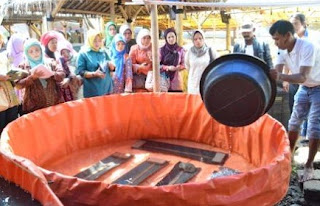 Cara Budidaya Ikan Lele Bioflok Infoakuakultur Com