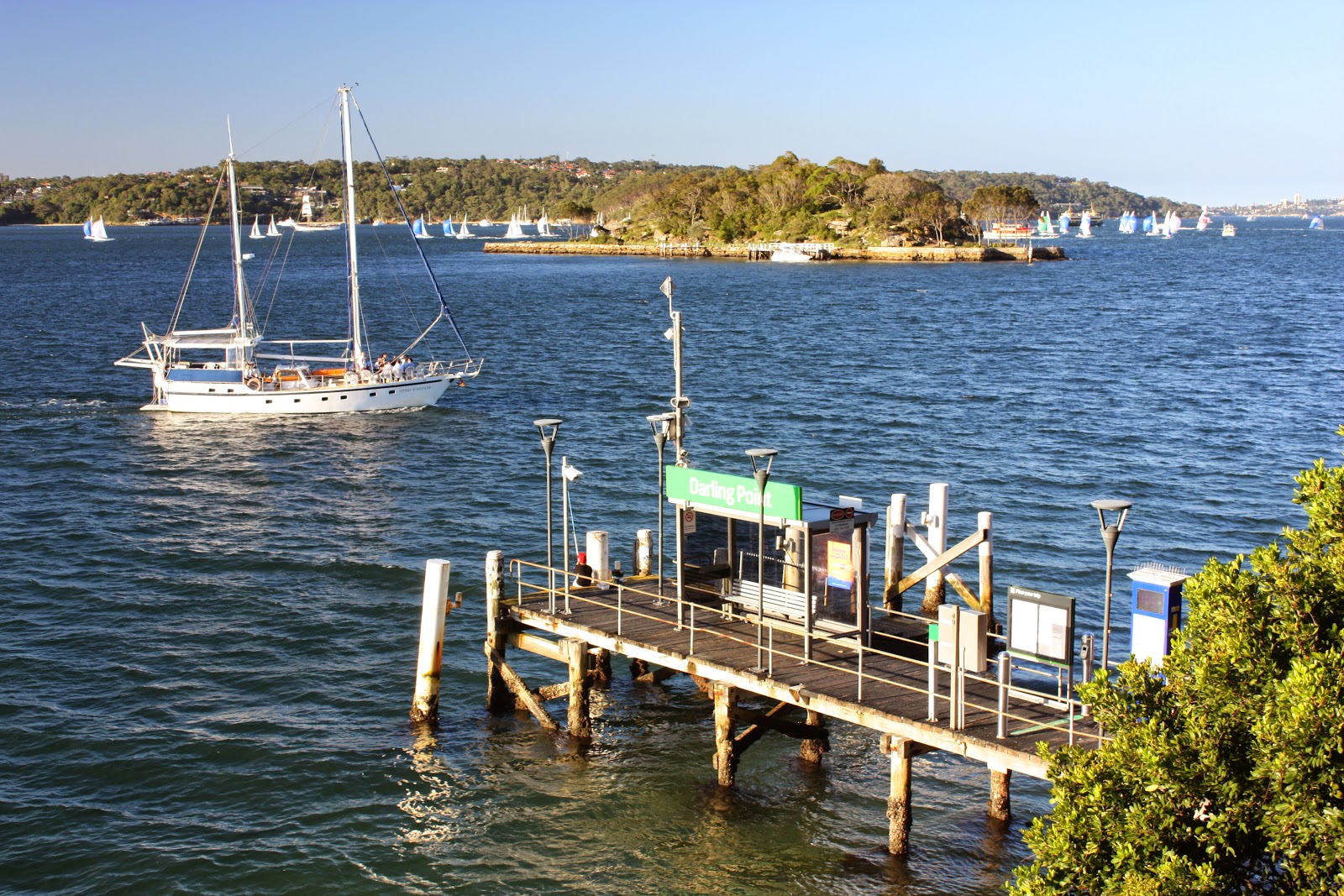Sydney City and Suburbs Darling Point, ferry wharf, Clark Island