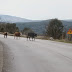 Μόνο αγελάδες συναντάς στην έρημη παλαιά εθνική οδό Ηγουμενιτσα - Ιωάννινα