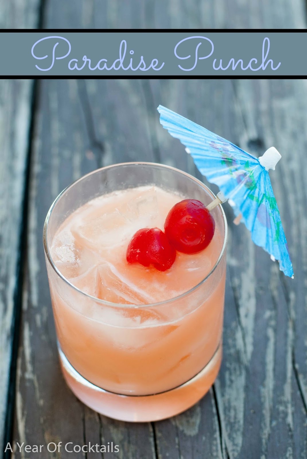 Paradise Punch A Year of Cocktails