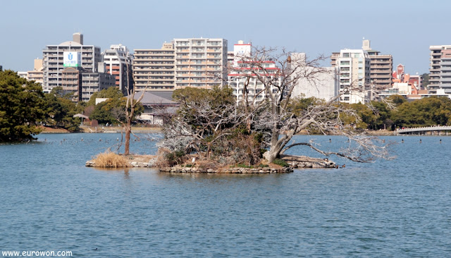 Isla en el Parque Ohori de Fukuoka