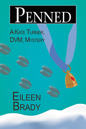 mystery book cover