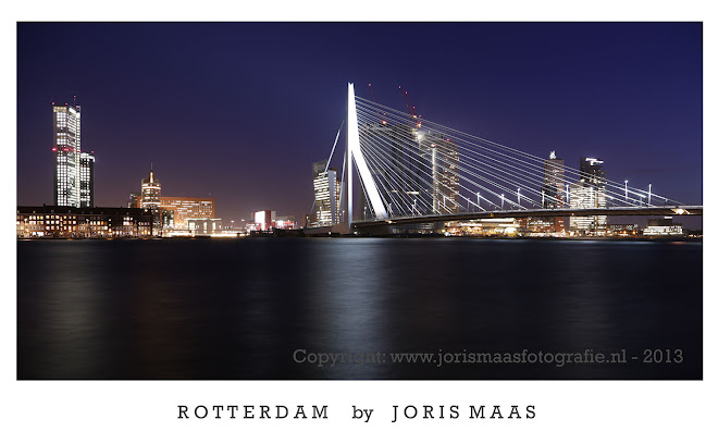 Rotterdam - de Maas / Erasmusbrug