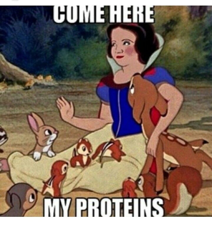 . Always Eat Your Proteins