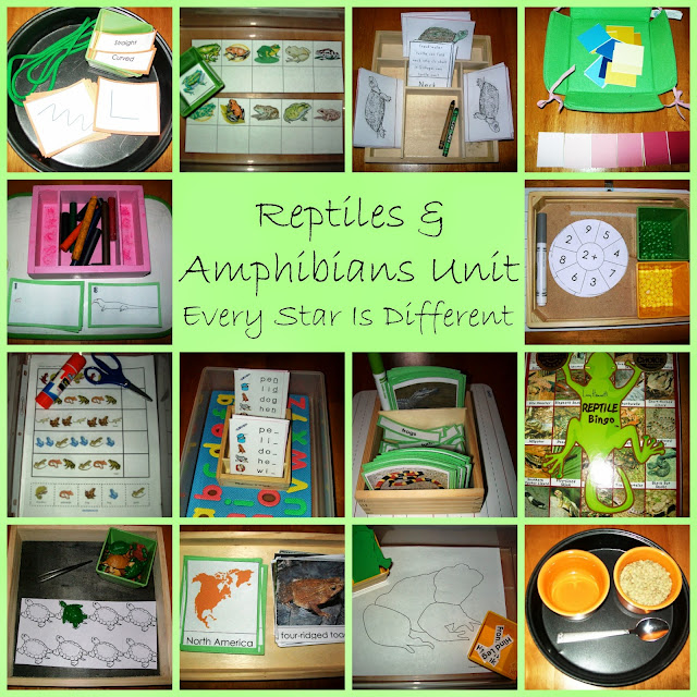 Reptiles and Amphibians Unit with FREE Printables