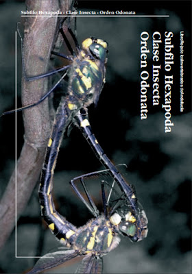 Butterflies and Dragonflies Odonatos en el Libro Rojo de los