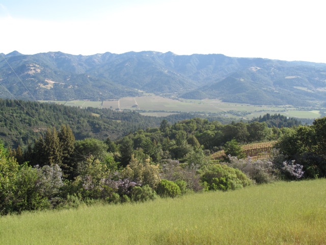 Smith Madrone Solid Spring Mountain Napa Ca Wines Wine For