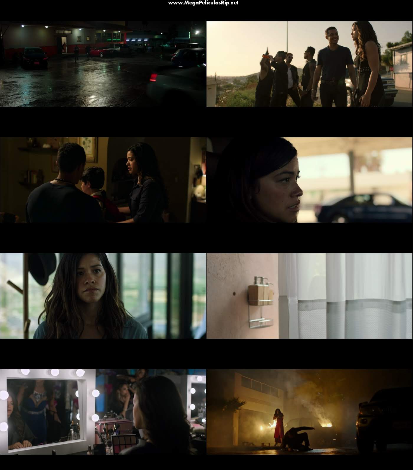 Miss Bala 1080p Latino