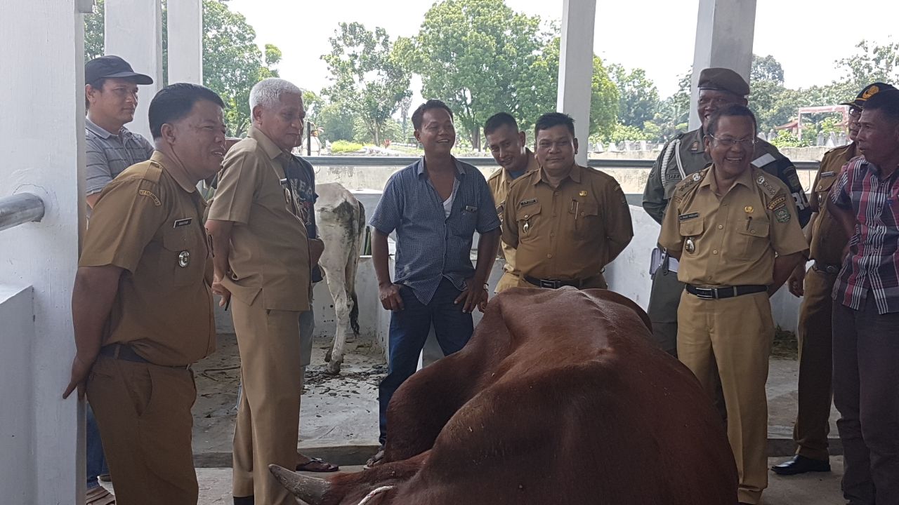 Wakil Bupati Asahan Surya BSc saat meresmikan pasar ternak. Wakil Bupati Asahan Surya BSc saat meresmikan pasar ternak.