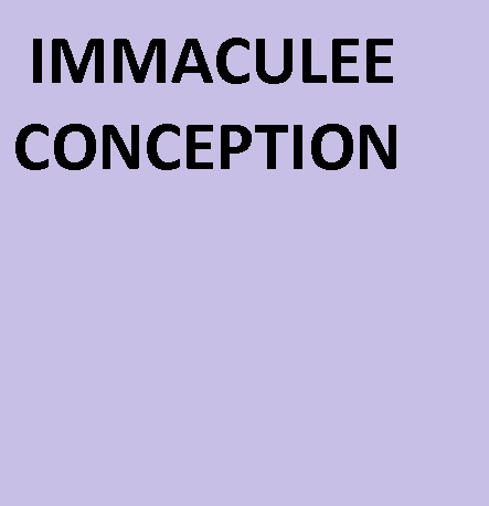 ne pas cliquer Immaculée conception