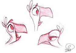 bird flying cycle animation franco assignement tall class had