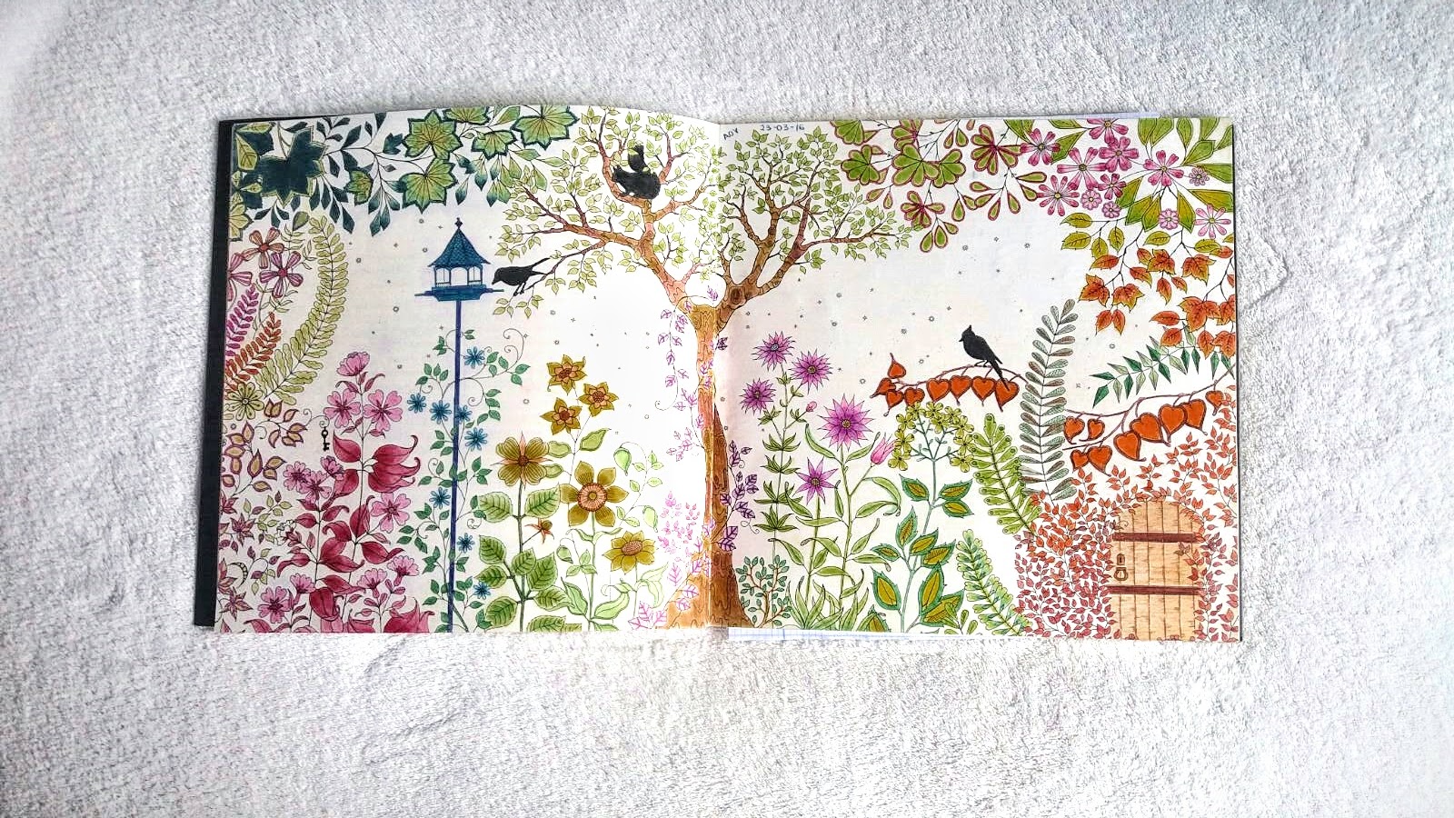 El Jardín Secreto Johanna Basford A Teen Like Us