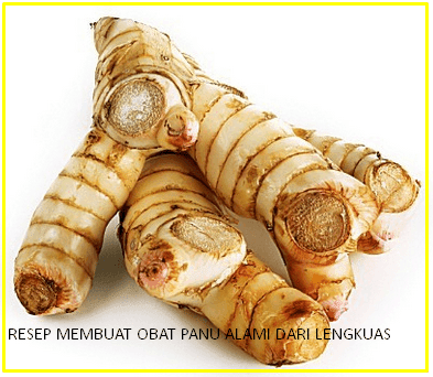 RESEP DAN CARA MENGHILANGKAN PANU DENGAN LENGKUAS