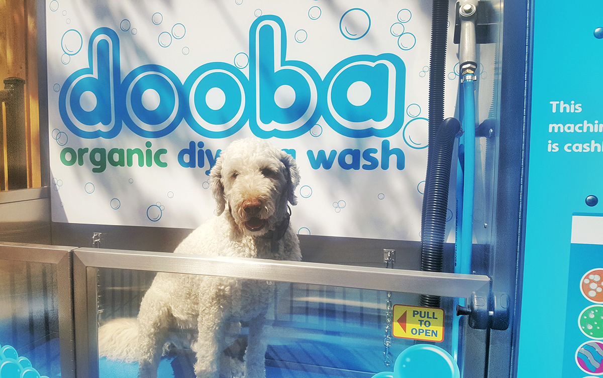 Dooba Organic DIY Dog Hydro Bath Launch Australian Dog Lover
