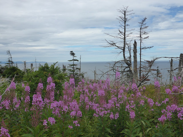 Ile Bonaventure Québec