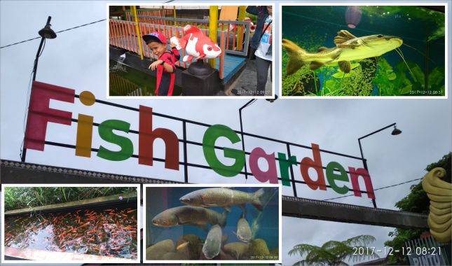 Berkunjung Ke Fish Garden Blitar Berkunjung Ke Fish Garden Blitar
