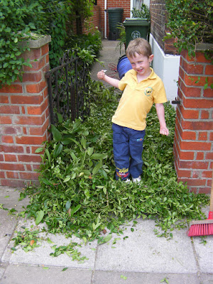 Hedge trimmings