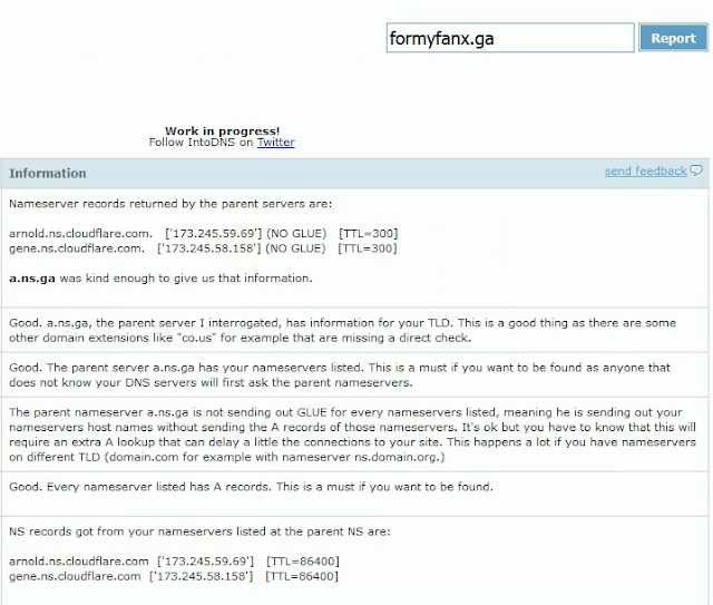 Checking nameserver changes at intodns.com