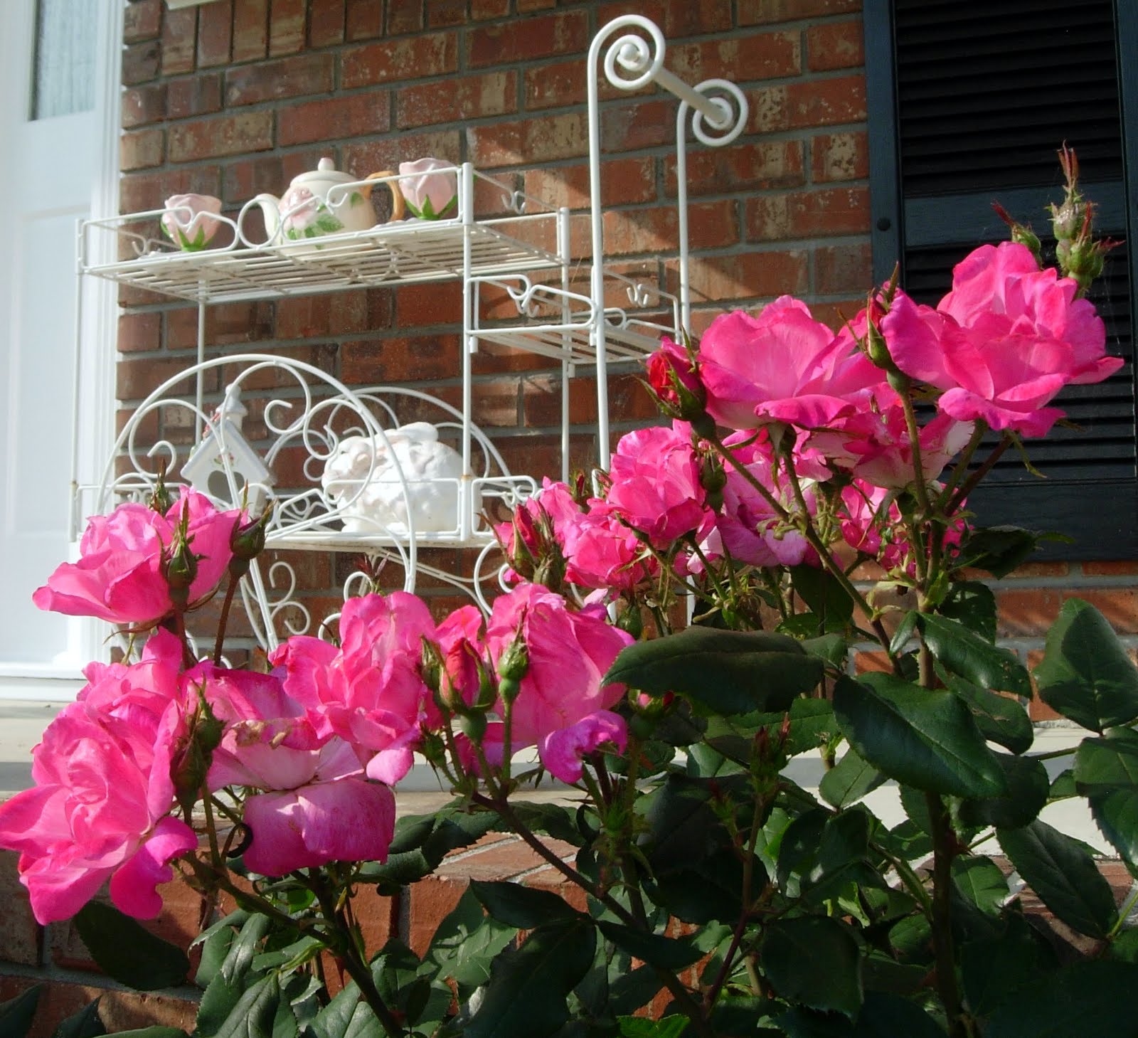 Once Upon A Rose Haven Roses...