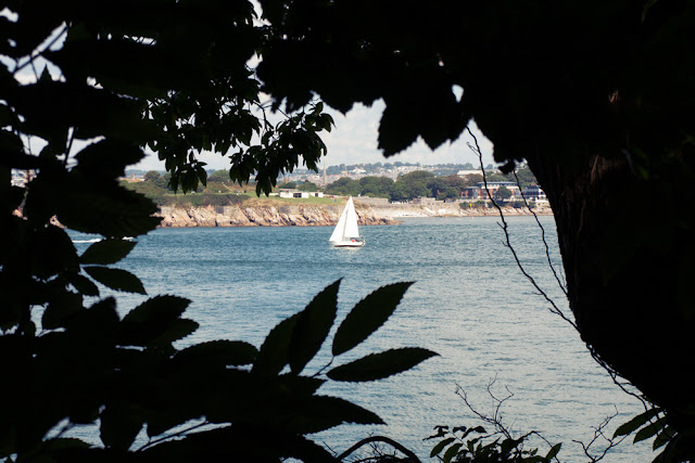 Mount Edgcumbe Country Park Cornwall