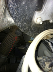 molehills camels gnats mountains