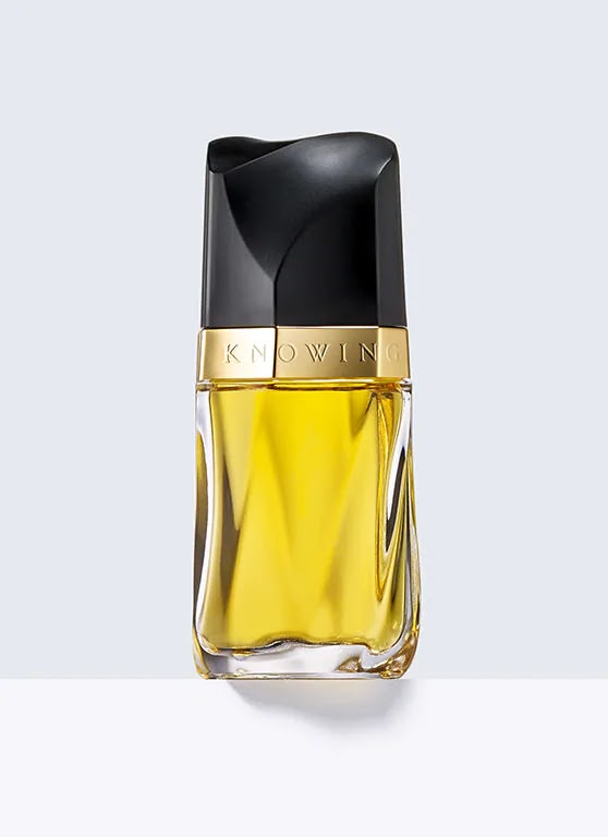UPC 768826081497 - C H A N E L Coco Mademoiselle eau de parfum spray 3.4  OZ/100 ml. (New in box)