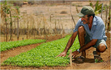 Agricultura Familiar - AGROECOLOGIA - Página de Links