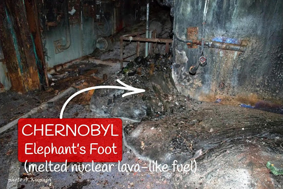 chernobyl meltdown elephant foot