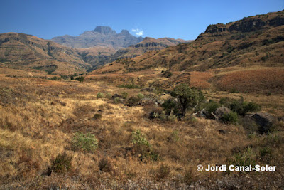 Drakensberg