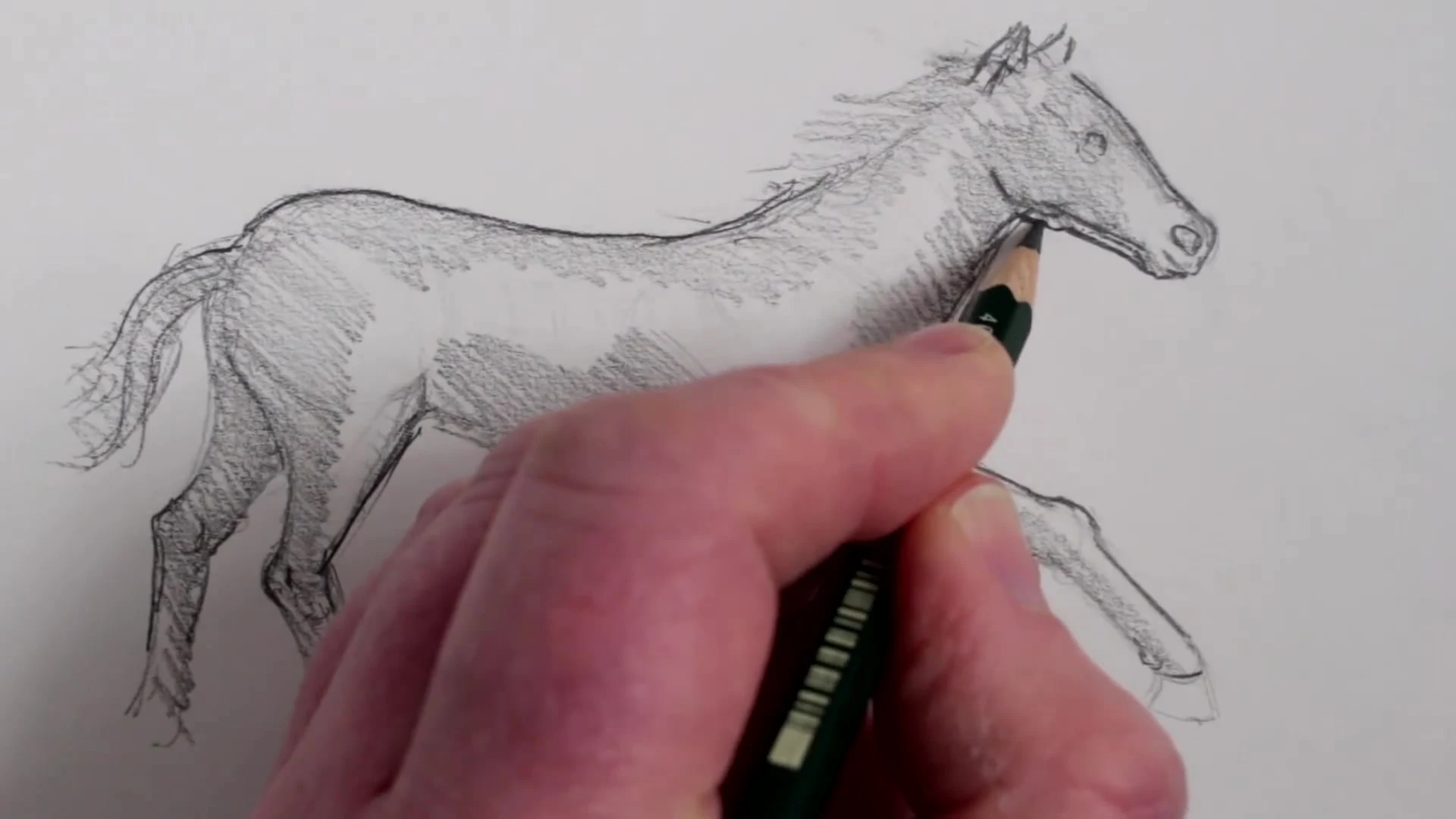 رسم حصان بالرصاص