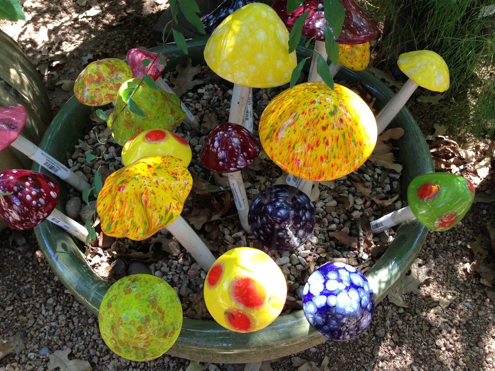 Probably THAT Mom Hill Country Water Gardens