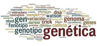 Web Genética