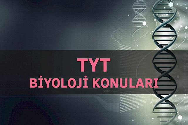 TYT Biyoloji Konuları ve Soru Dağılımı 2018 tyt biyoloji konularu