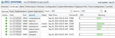 SAP HANA Server